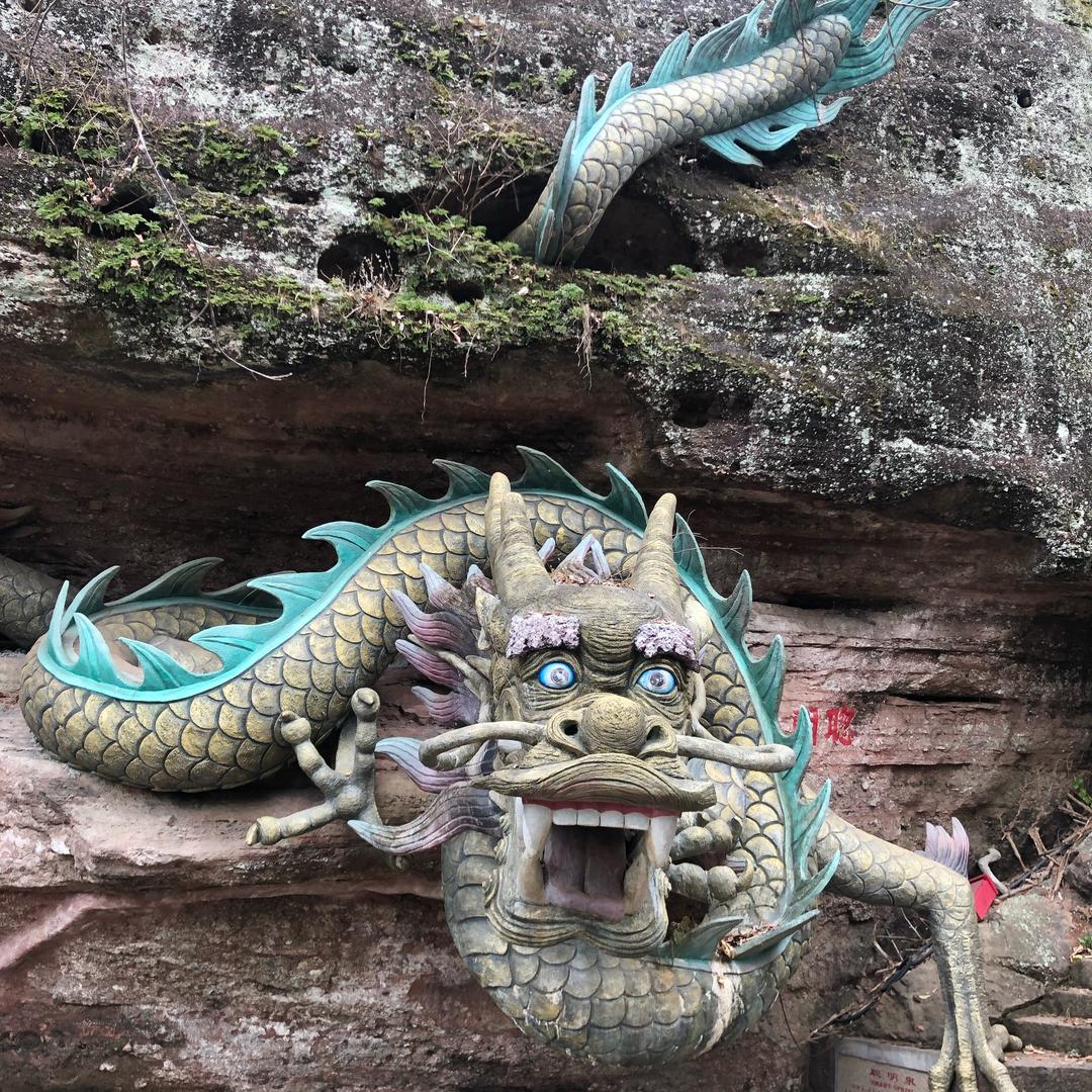 自由飞翔