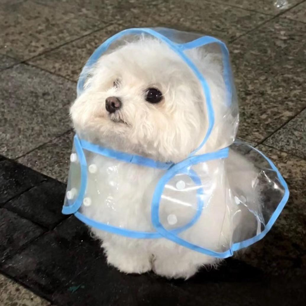 Wanson头像