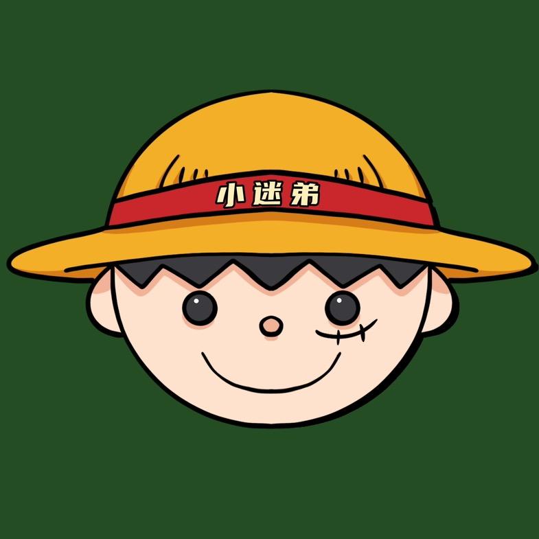 海贼小迷弟