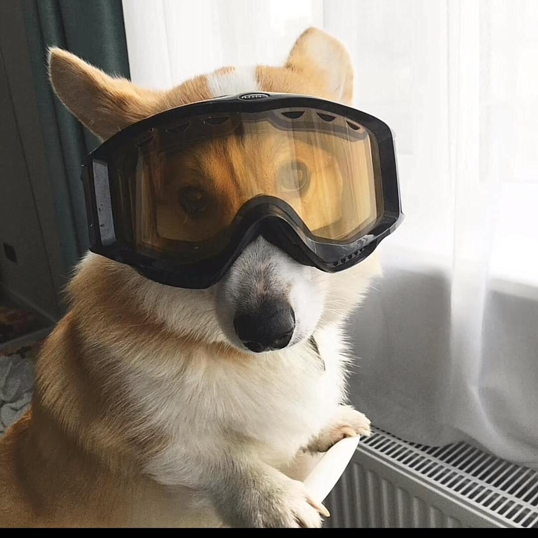 实习生