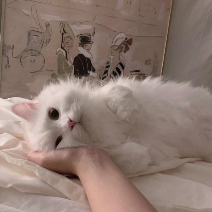 甜恬甜舔