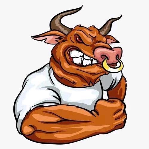 大猛生鲜(优质小黄牛)