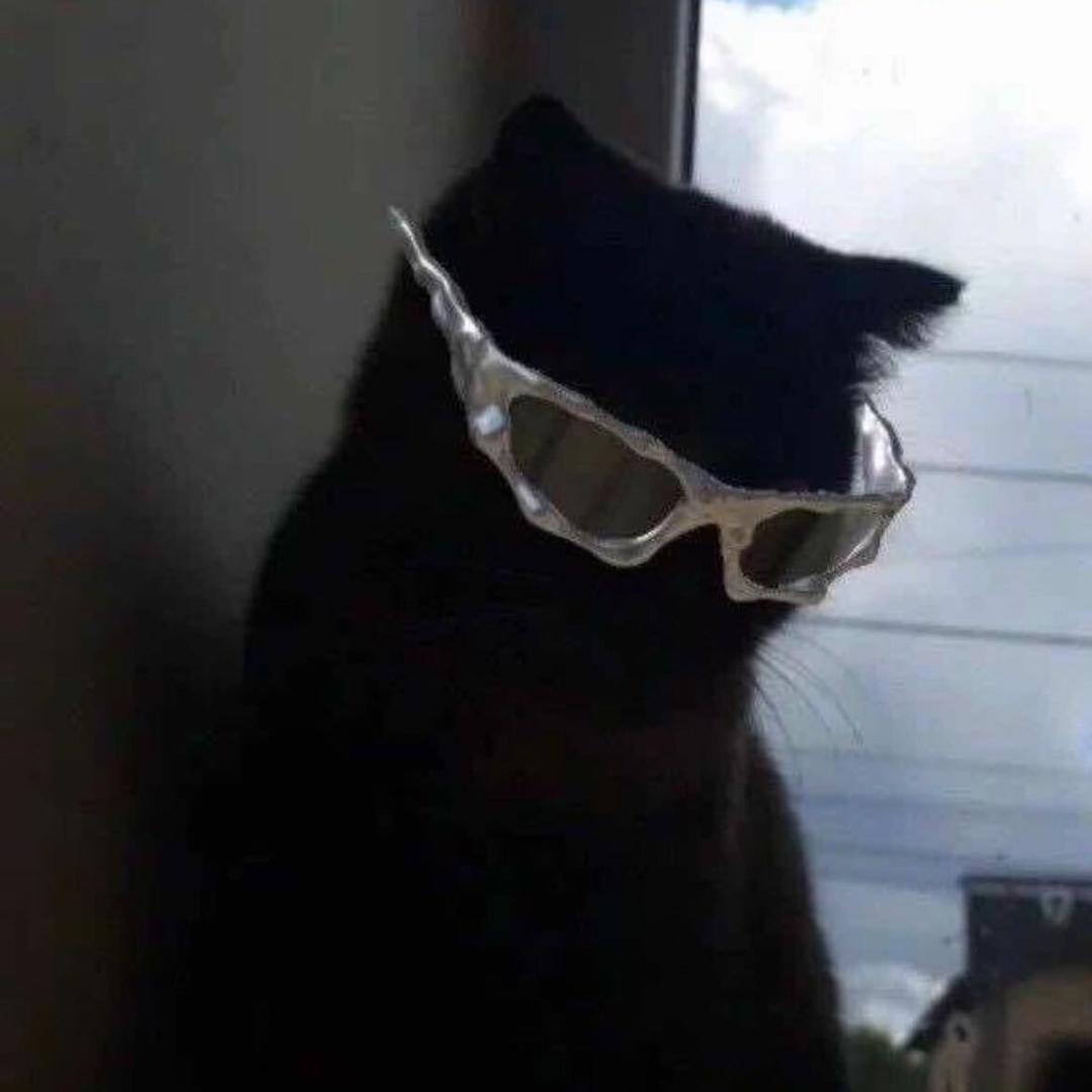 𝙔𝗼𝗸𝗼