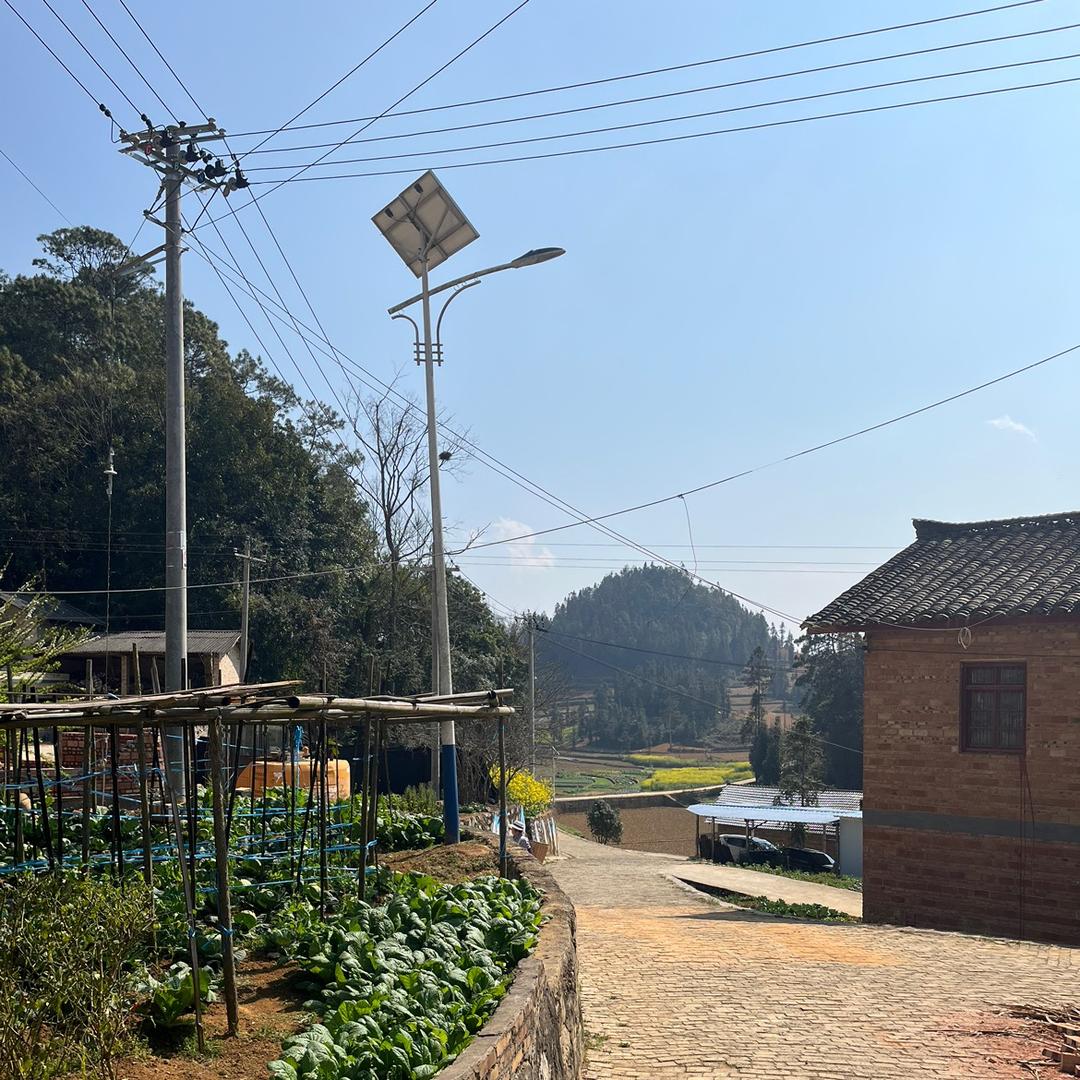 南疆山野聚山货