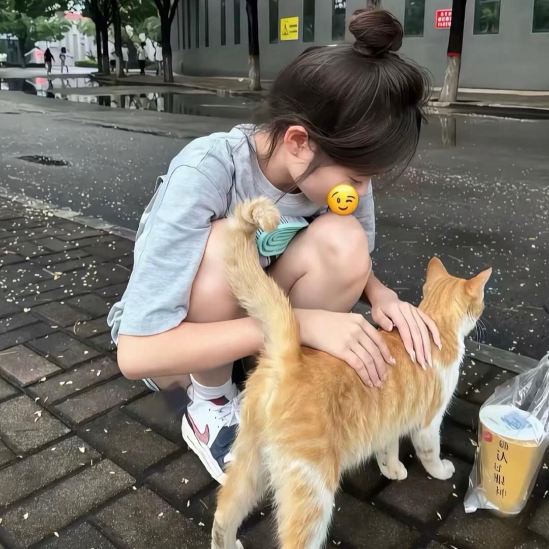 ^爱烤地瓜.🌷