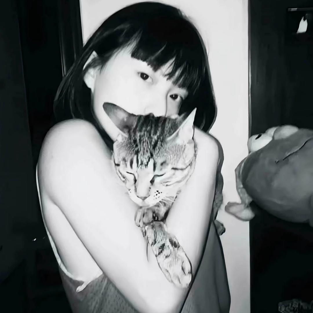 晚安ㅤㅤㅤㅤㅤㅤㅤㅤ