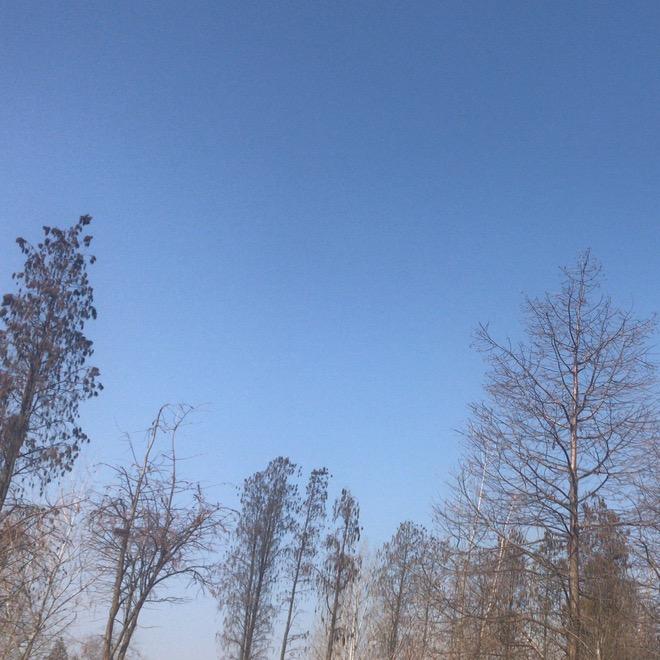 温州上硕包装机械有限公司