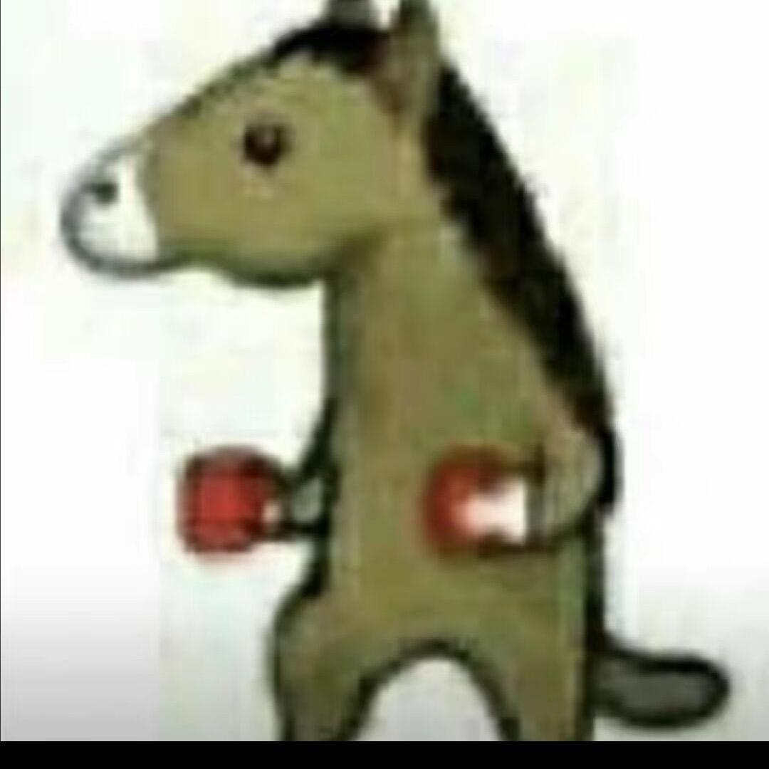 锅盖哥哥