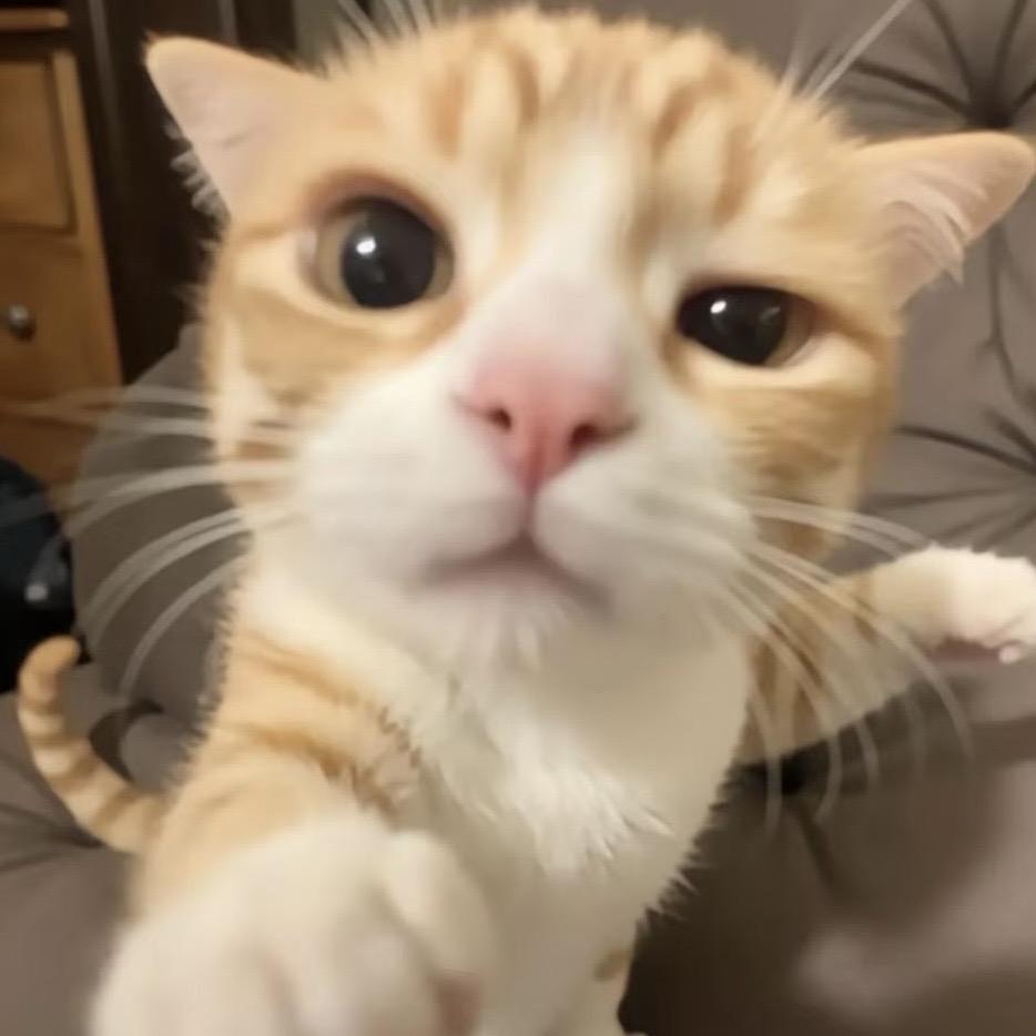是瑄子_