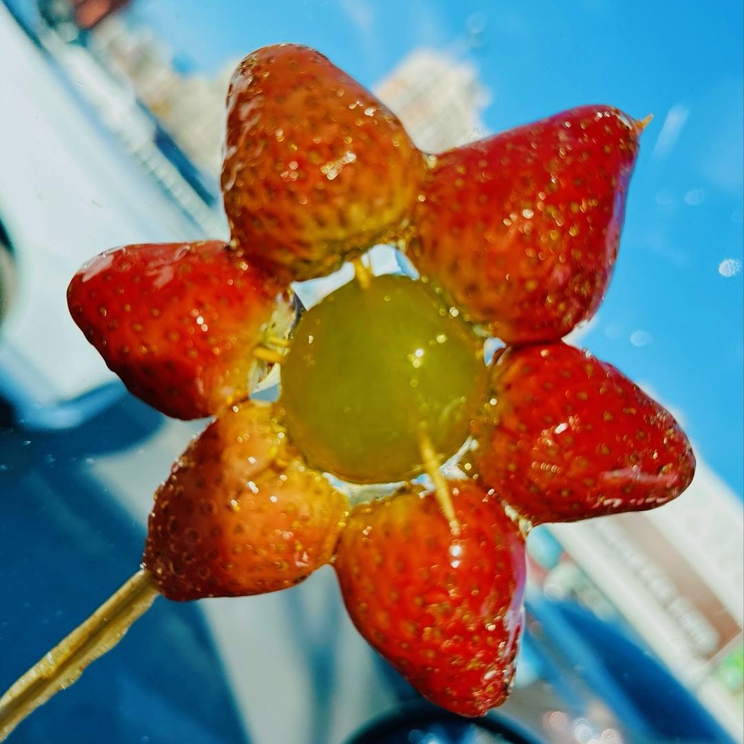 与光同尘🌻