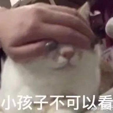 滑梯兔🐰