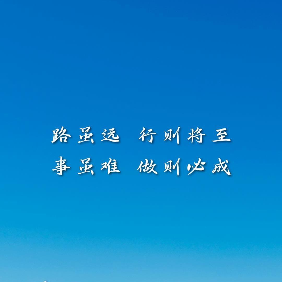 小杨哥