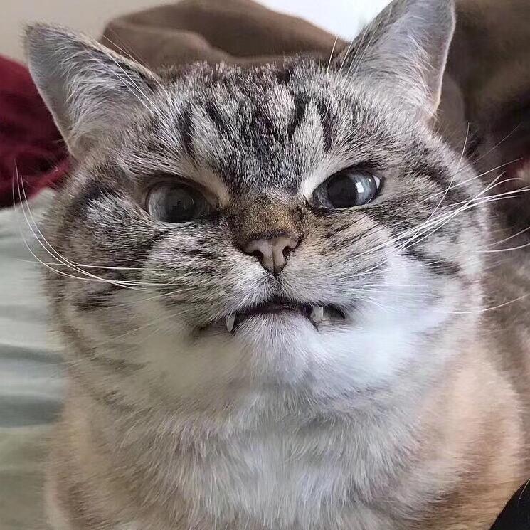 邪不压郑