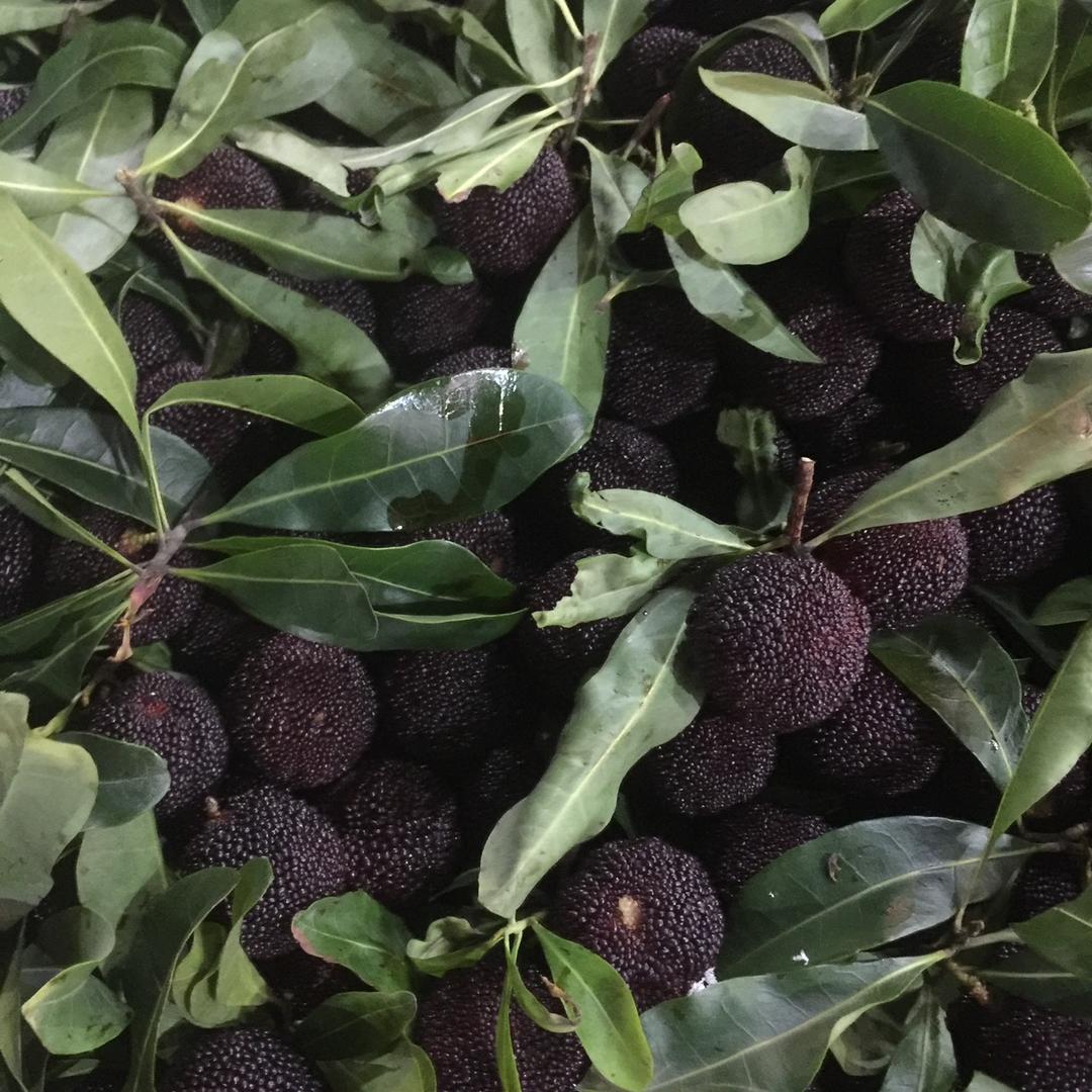 阿白新鲜水果批发零售市场