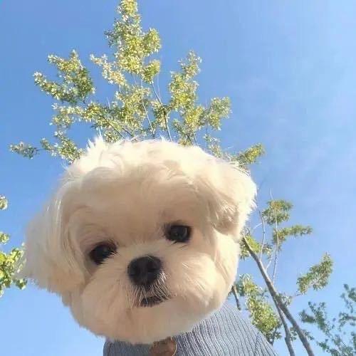 难心@