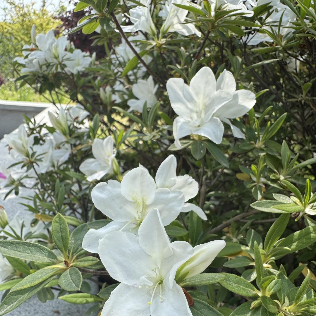 华姐（9）暖心520