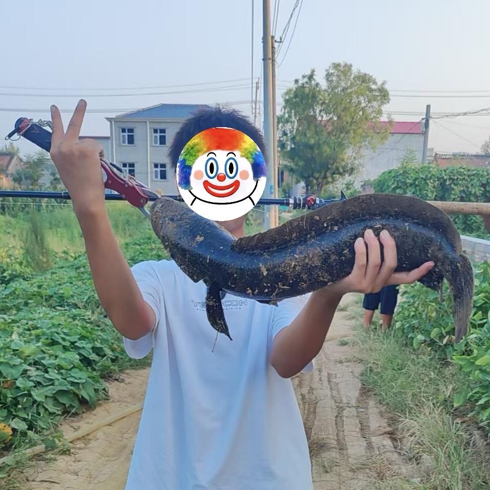 晚风。