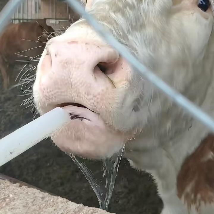 比例尺咕叽咕叽