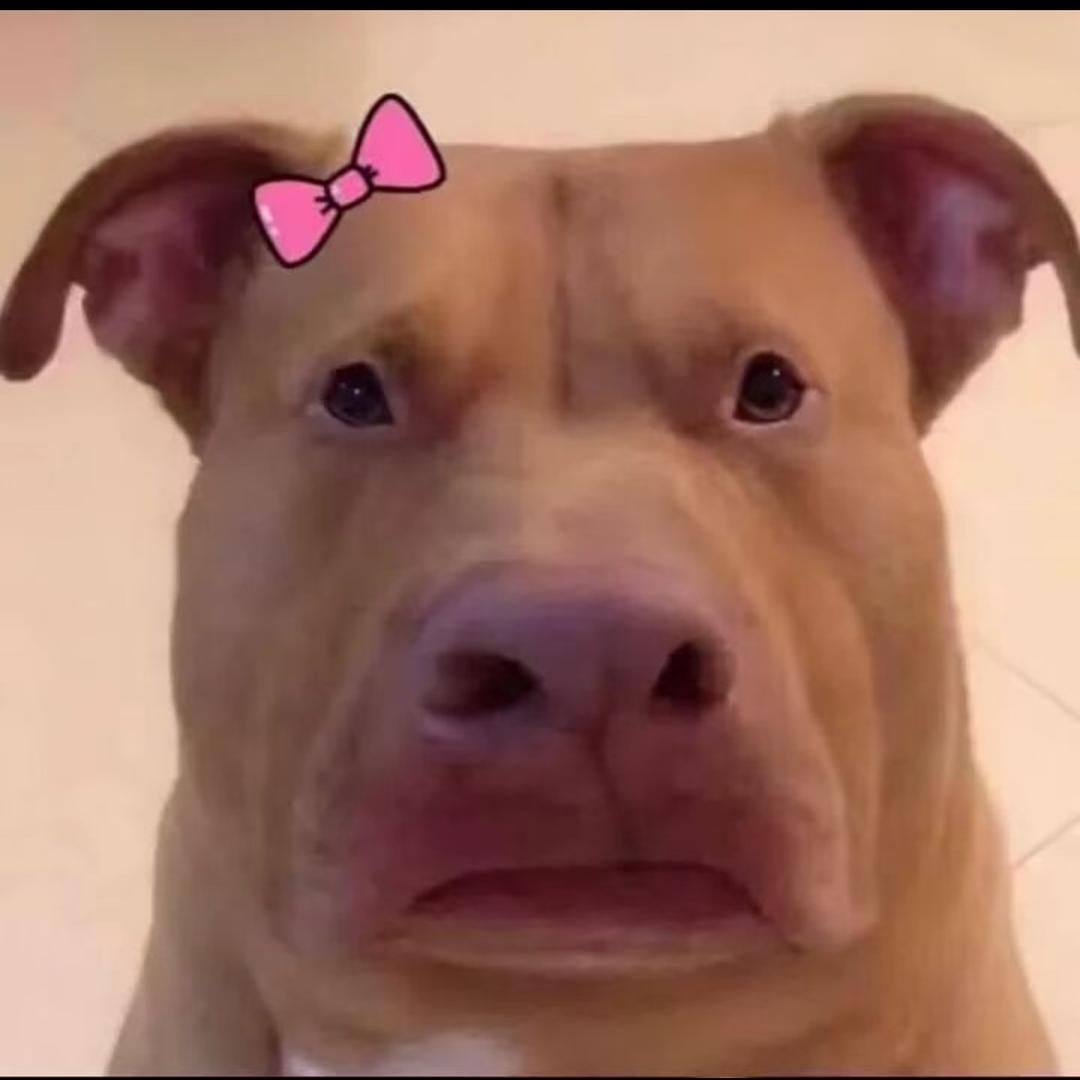 嫂子开门我是哥哥