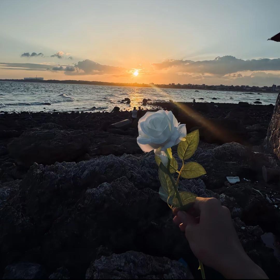白日梦想家