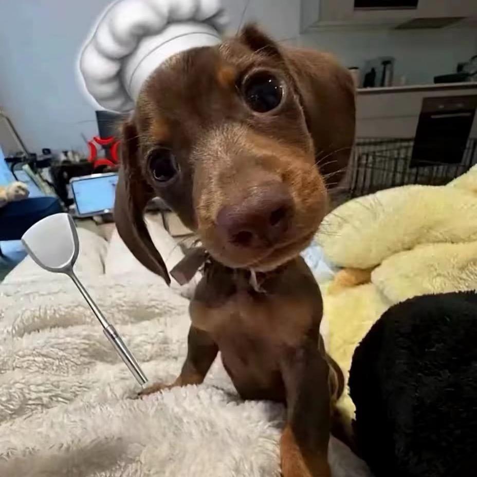 我钱有用
