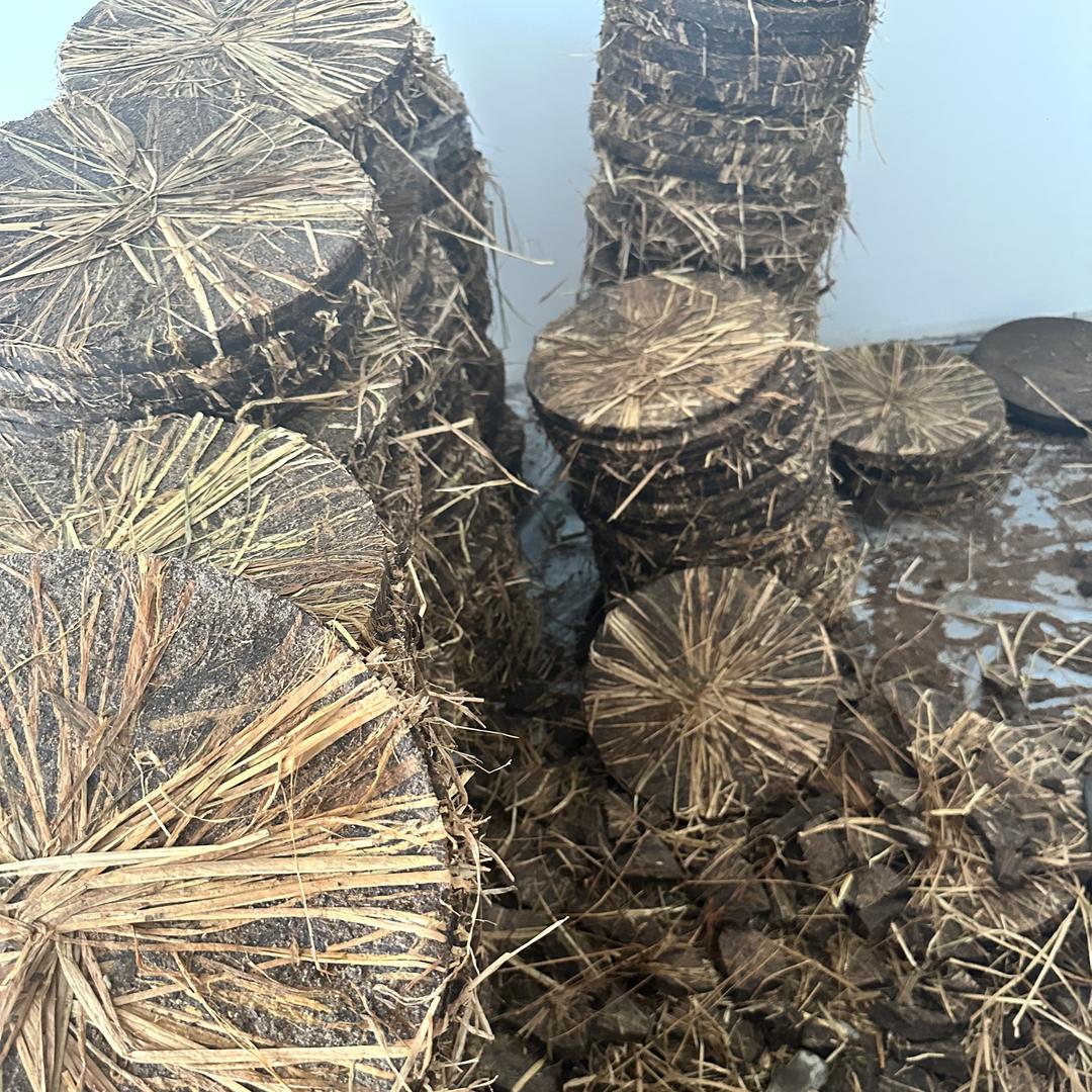 鑫隆百货甄选