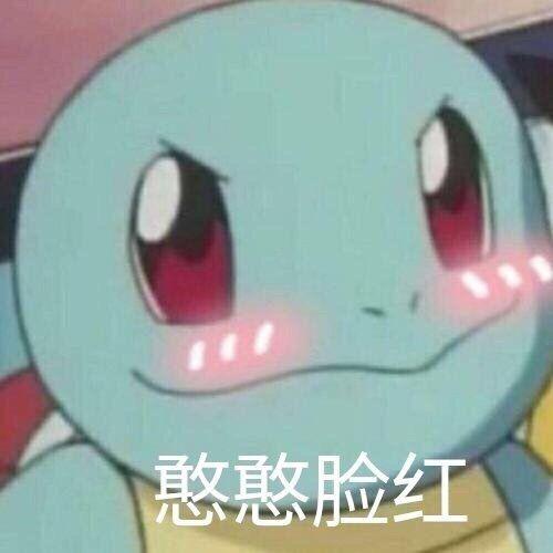 翻斗花园双面龟