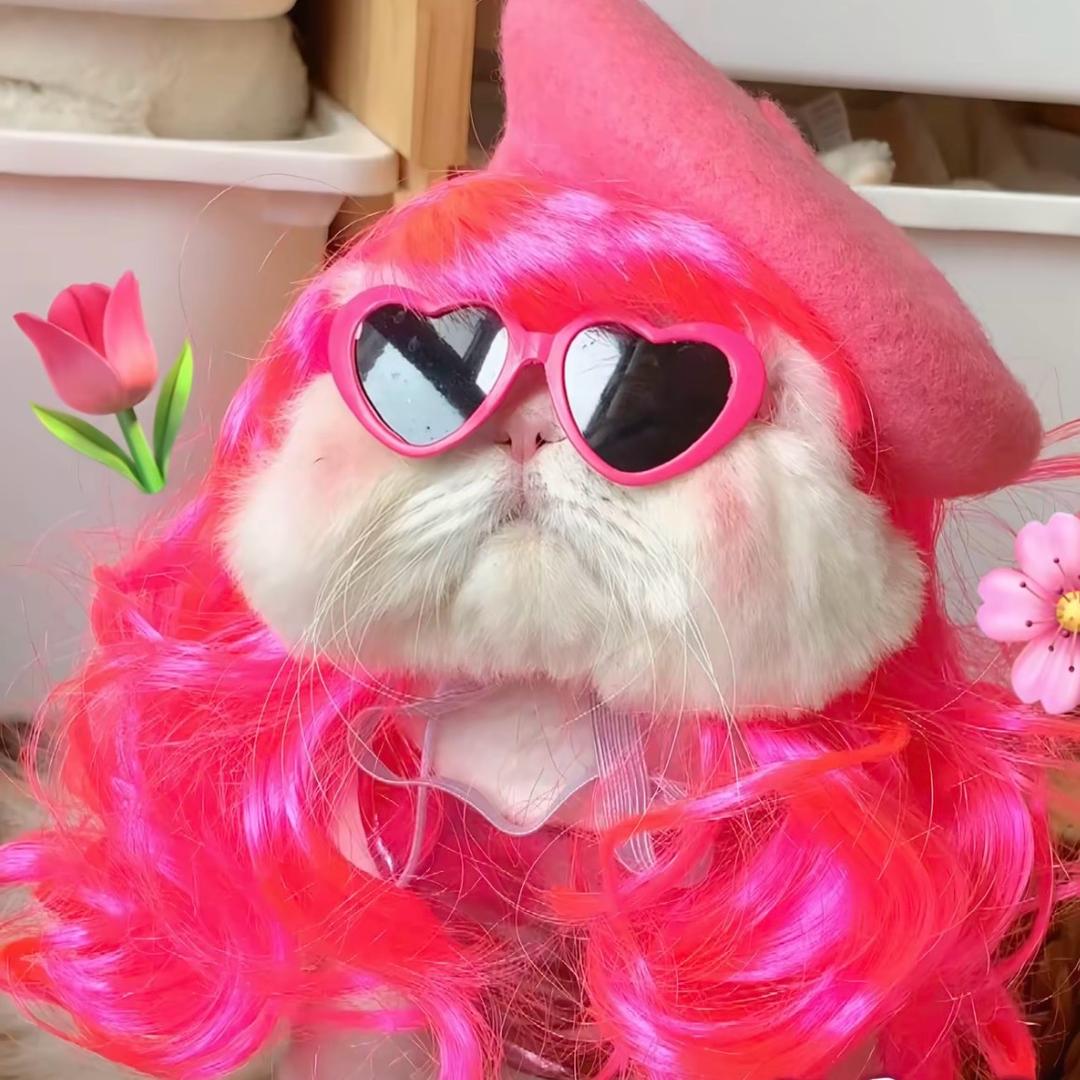 菜就多练……