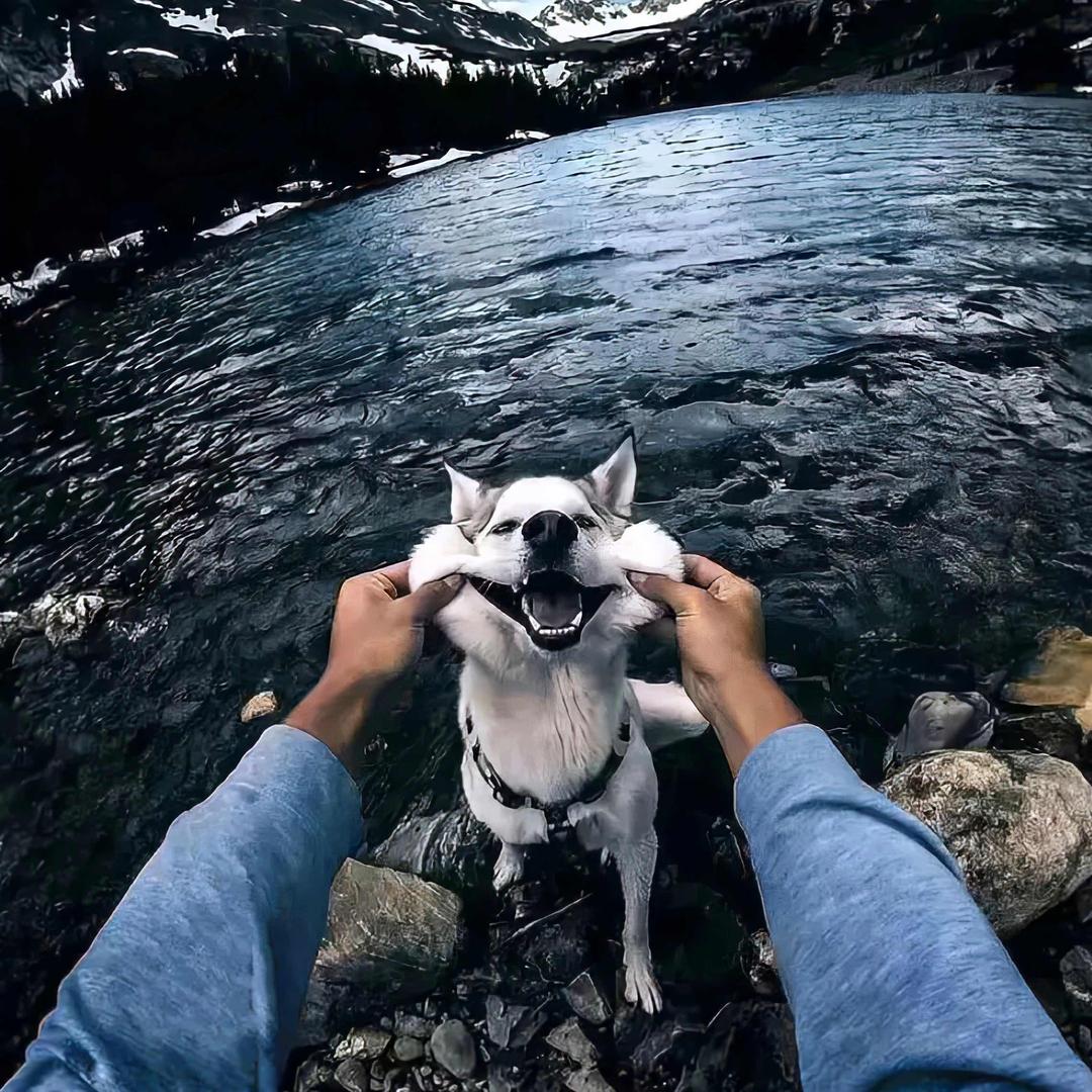 骑着蜗牛追火箭🚀