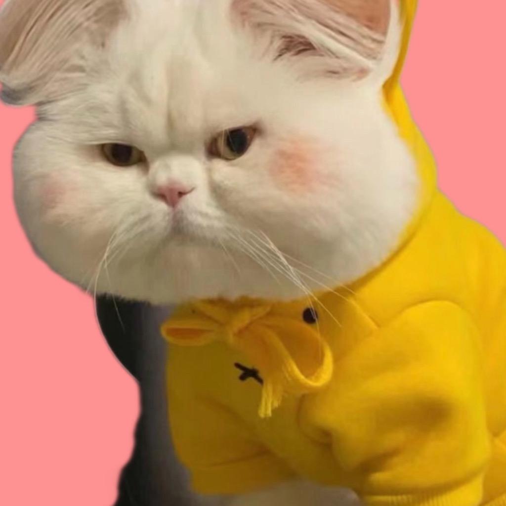 新世纪nb