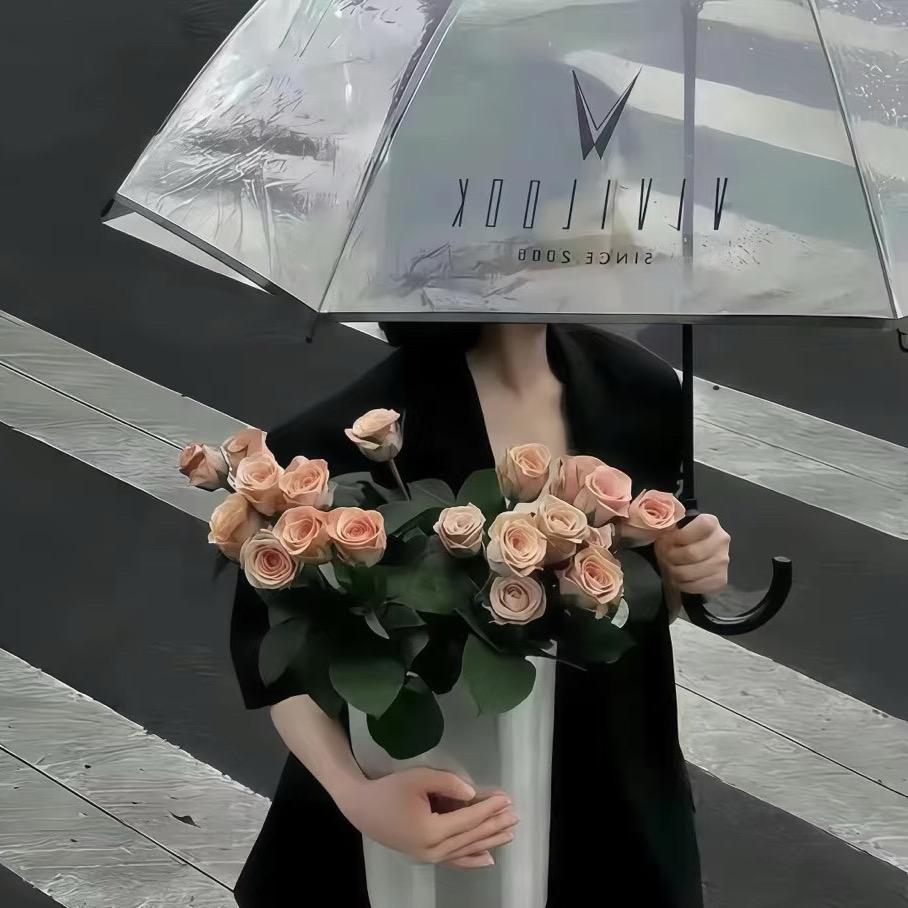 沐星河