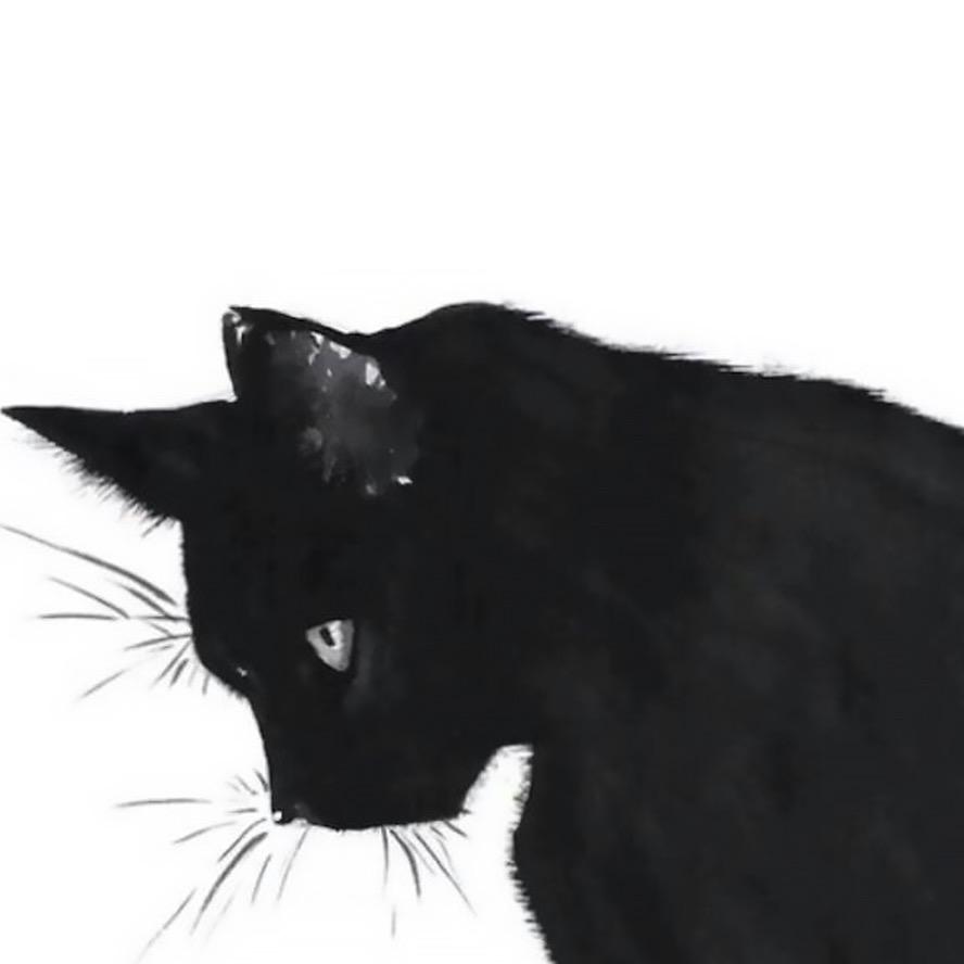 𝑴𝒓.𝑺𝒖𝒏𝒅𝒂𝒚