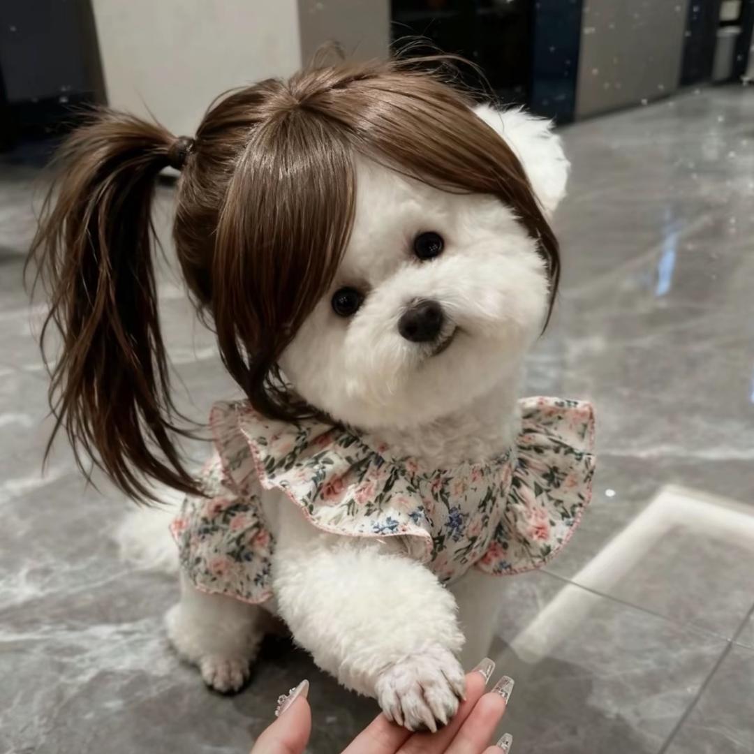 怪噜噜