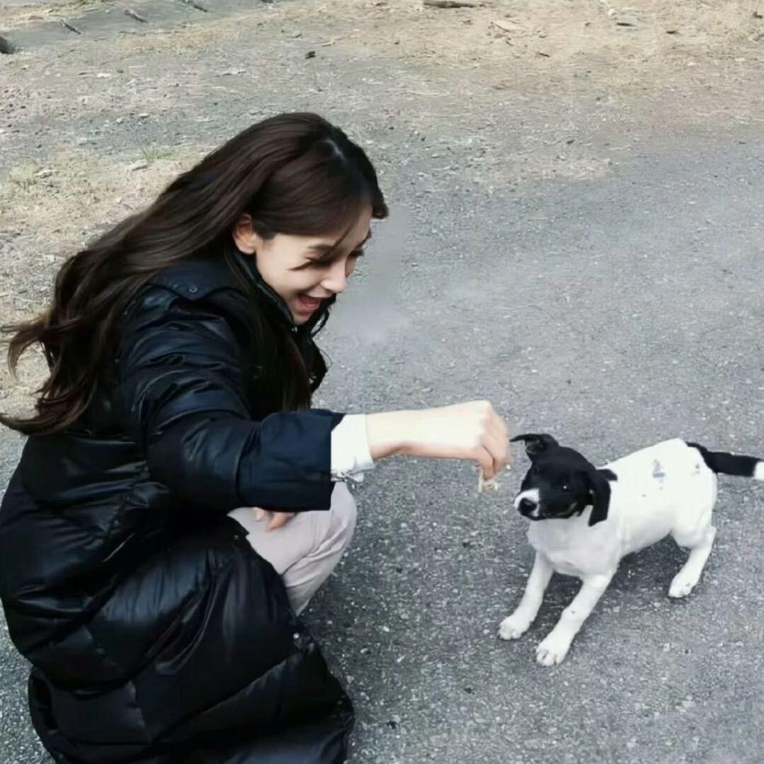 迪丽乐巴