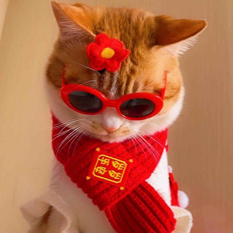 🍒樱桃的好物🐱