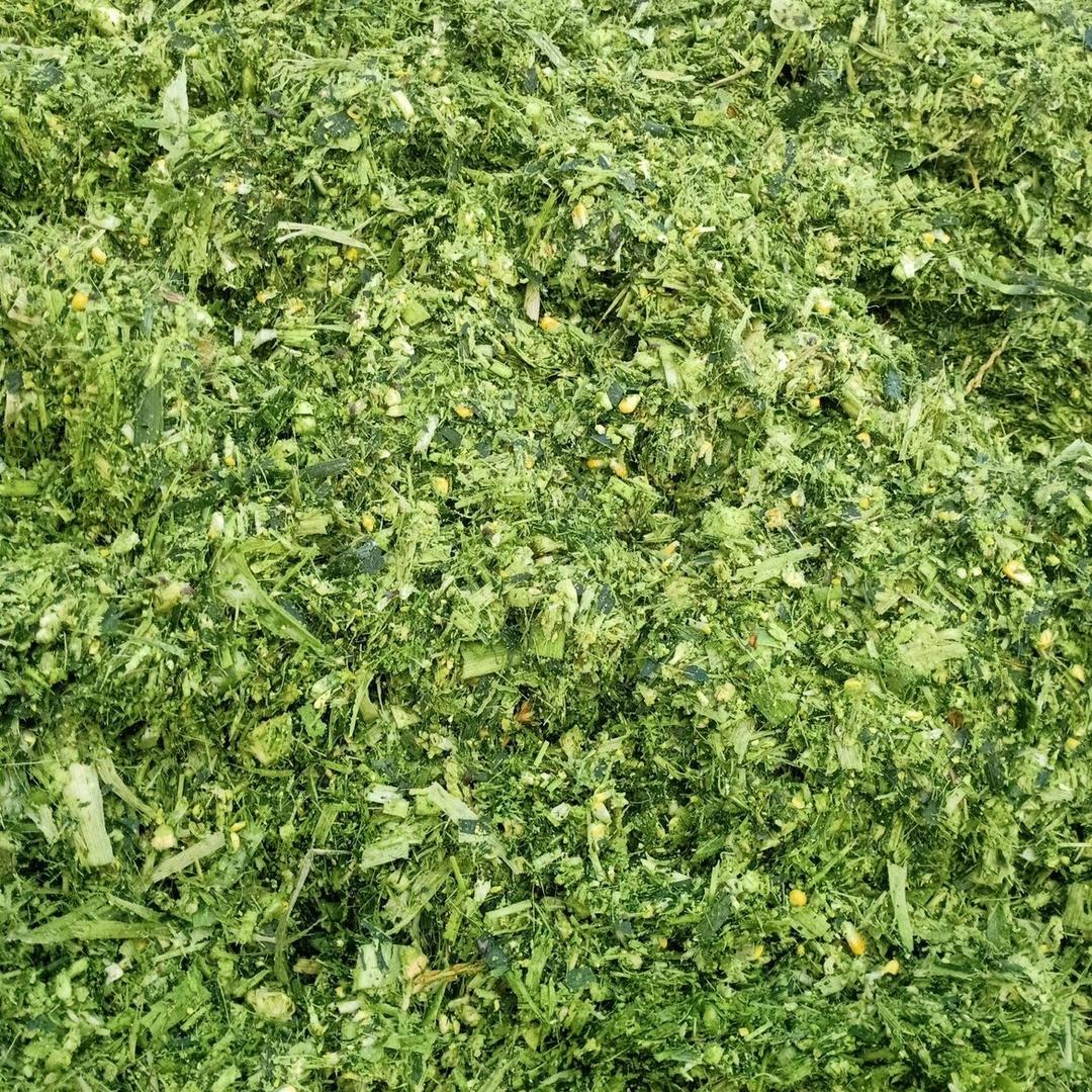 林泽草业
