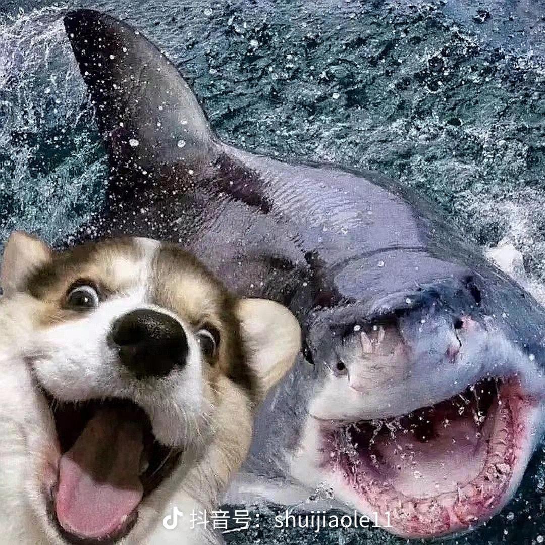 邱桑