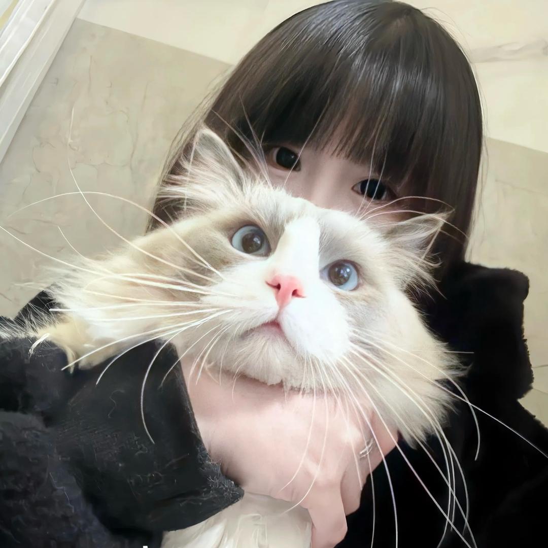 小布丁@
