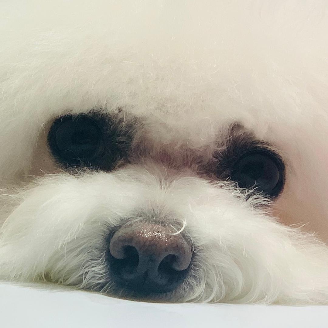 兜风心情