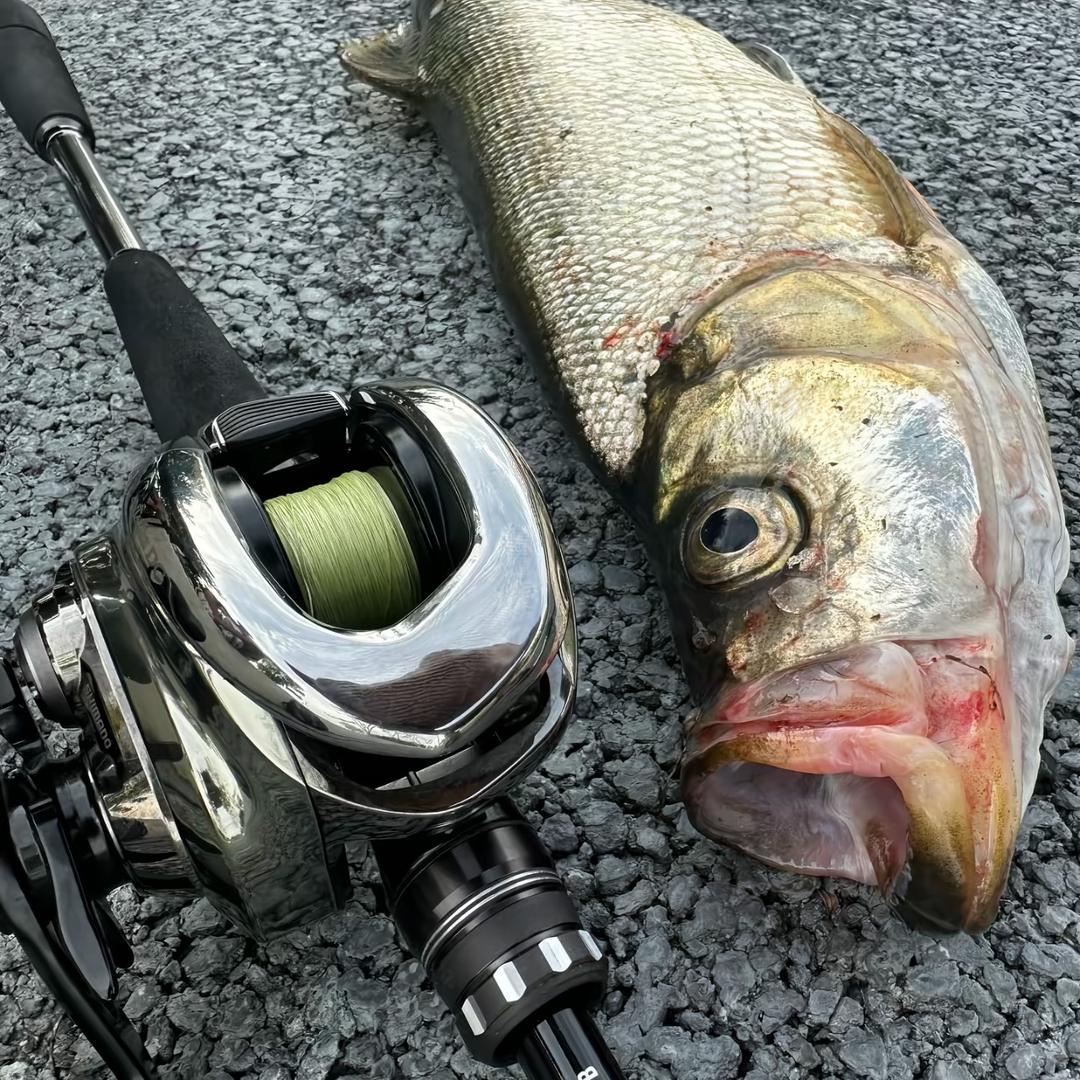 Lure Fishing王先生🎣