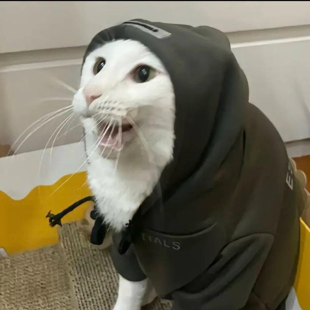 小哲