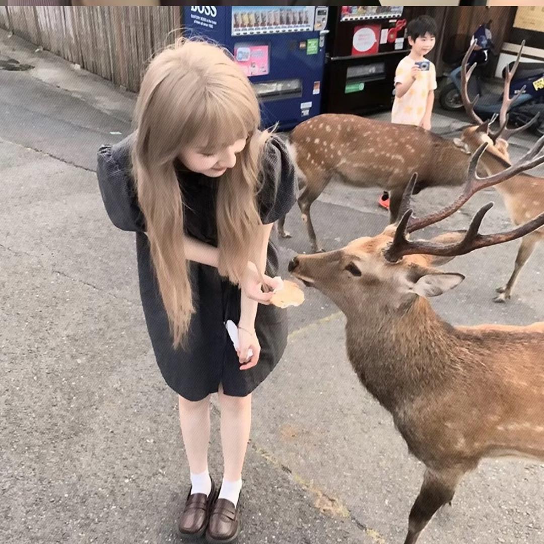 十八楼一线女明星