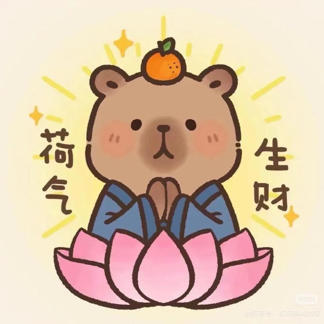 丝丝好懒呀