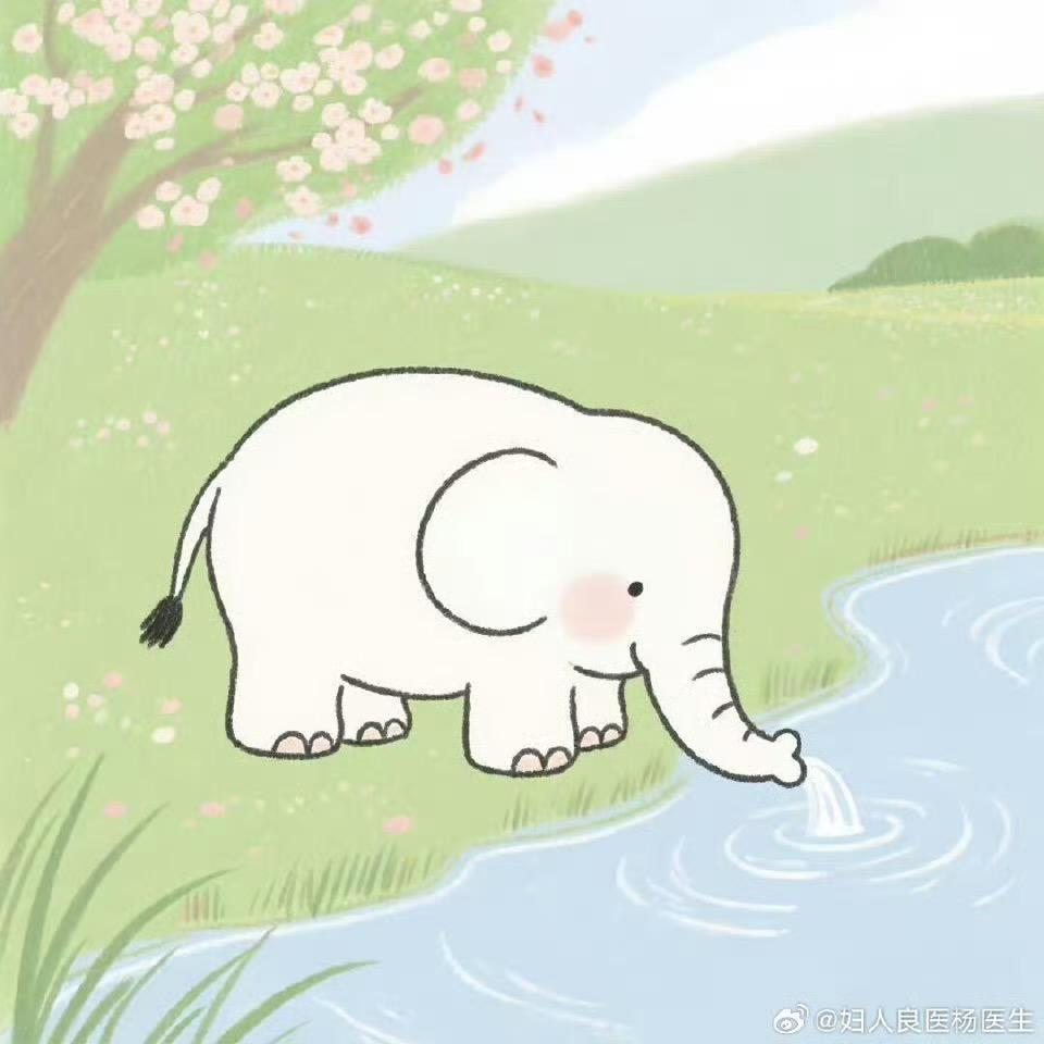 玫瑰百货
