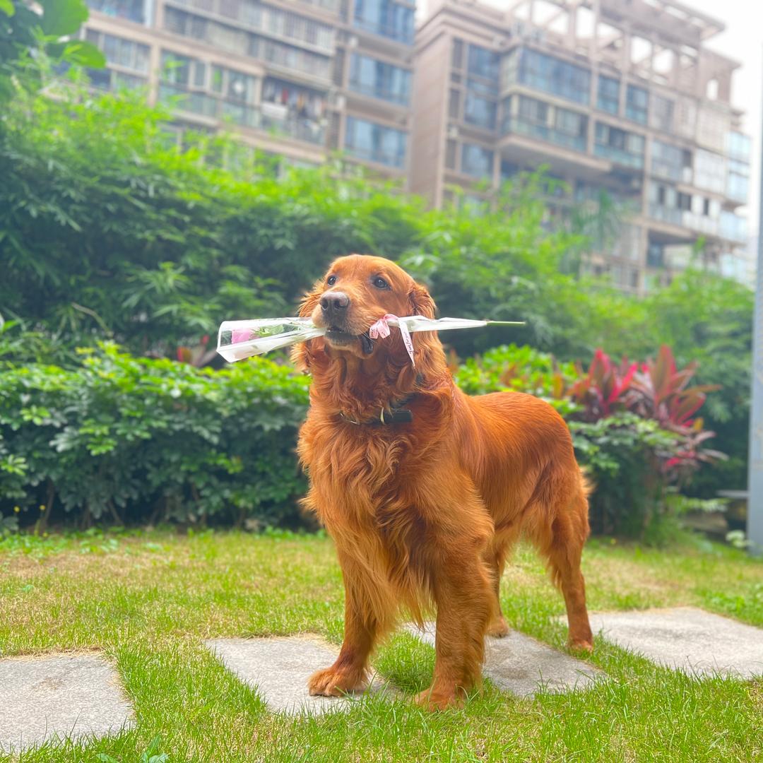 酱油色的咖啡。