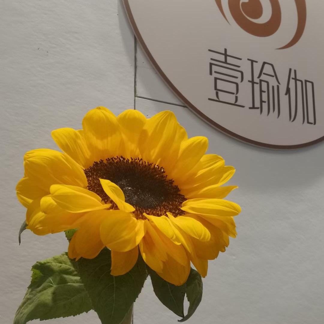 南宁·壹瑜伽普拉提