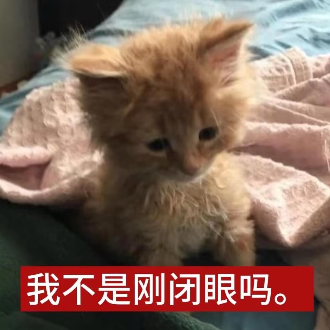 不要忘記那隻雾中的銀色飞鳥