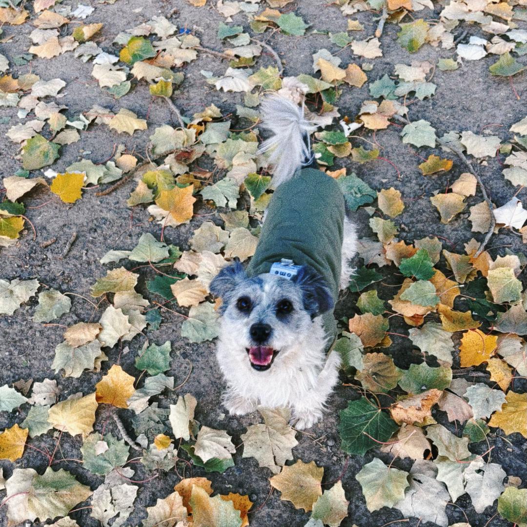 今晚一定早点睡