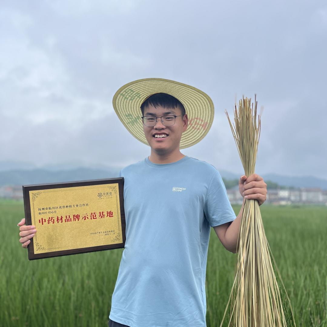 虎碧种植专业合作社