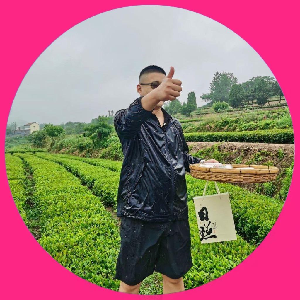 日照绿茶大路茗春